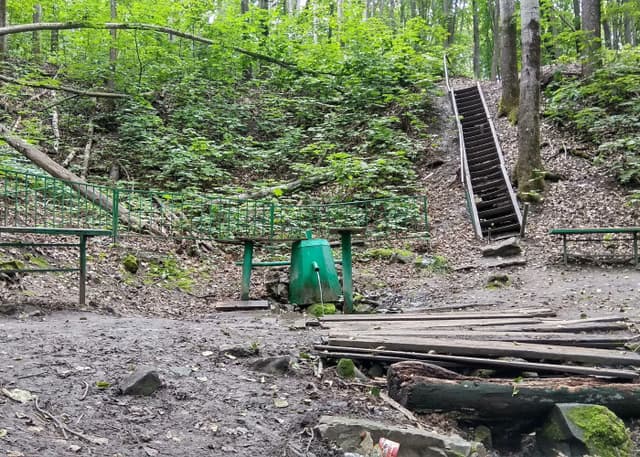 Дальний Арбековский родник (Пенза). Фотография 7