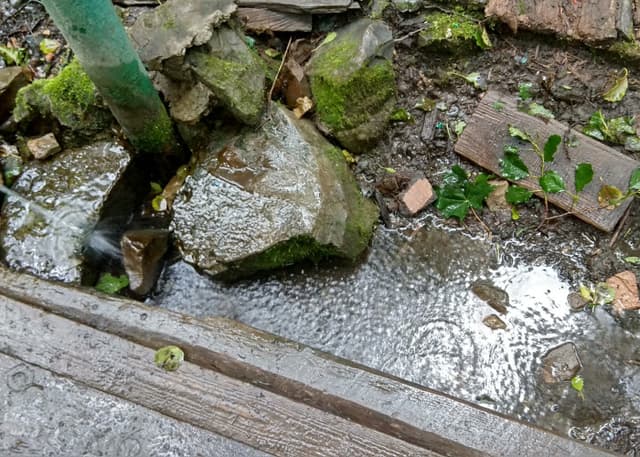 Дальний Арбековский родник (Пенза). Фотография 6