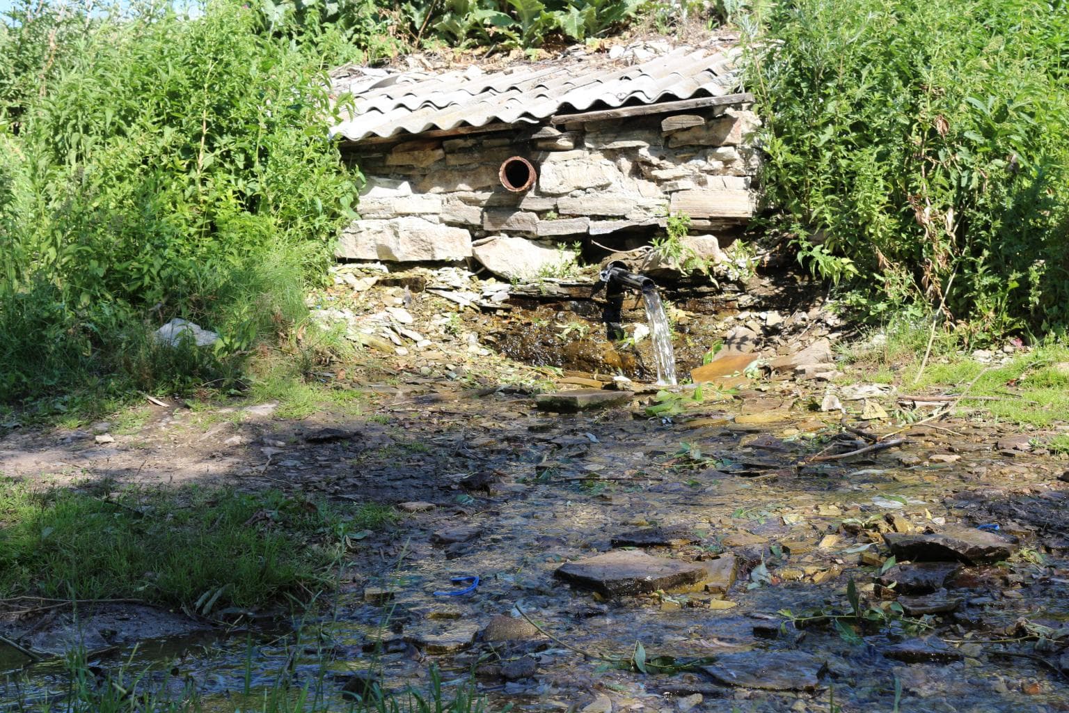 Святой родник (Шарлыкский район) — фотография 1