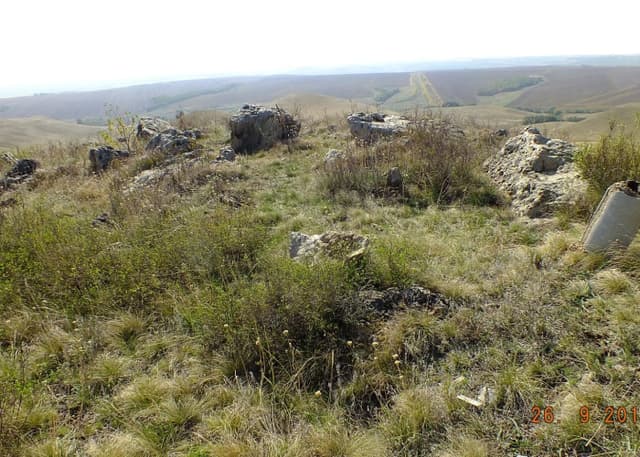 Медвежий лоб. Фотография 1