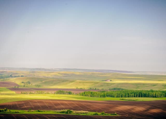 Медвежий лоб. Фотография 4