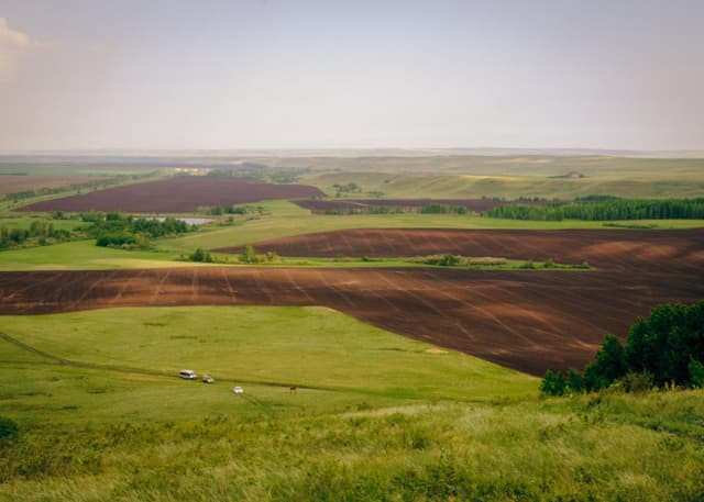 Медвежий лоб. Фотография 3