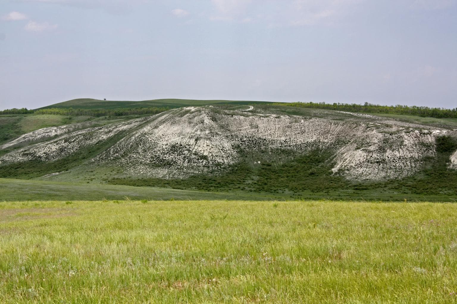 Chesnokovsky chalk mountains — photo 1