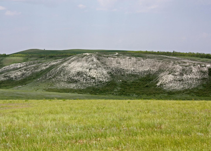 Чесноковские меловые горы. Фотография 1