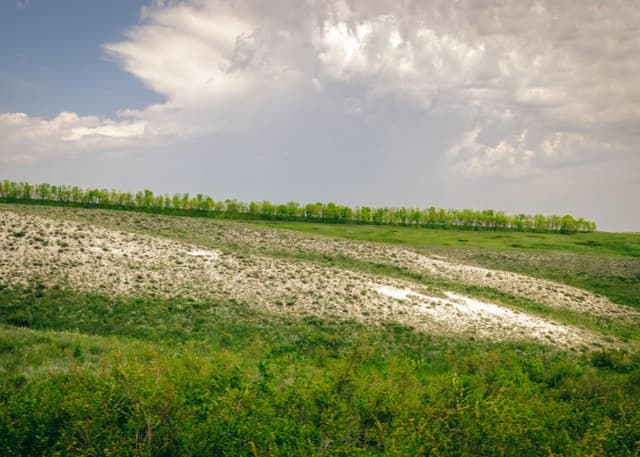 Чесноковские меловые горы. Фотография 5