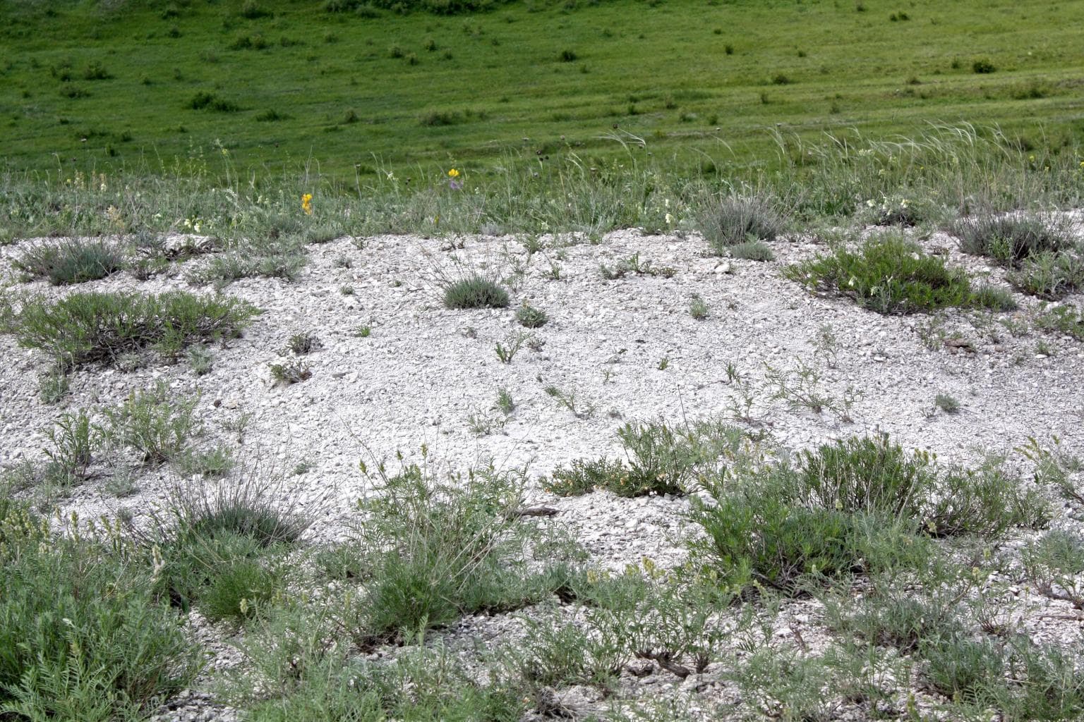 Chesnokovsky chalk mountains — photo 3