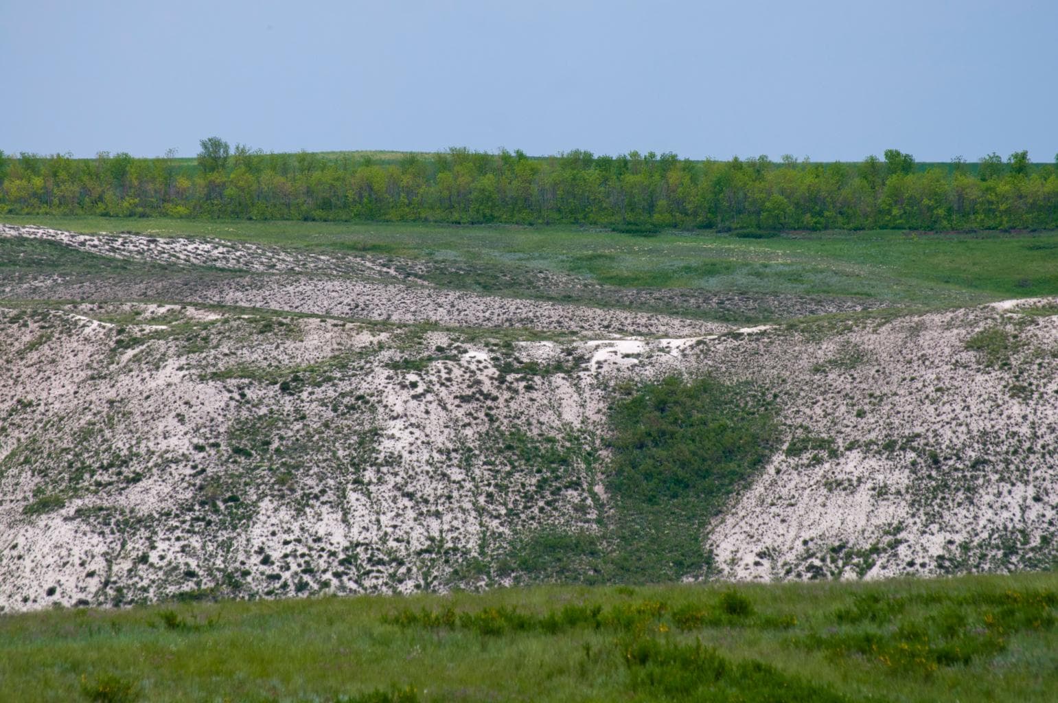 Chesnokovsky chalk mountains — photo 2