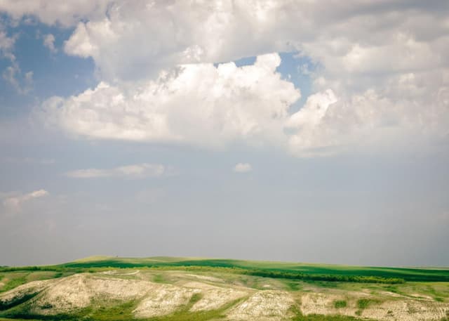 Чесноковские меловые горы. Фотография 4