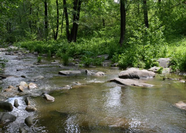 Карагай-Губерлинское ущелье. Фотография 3
