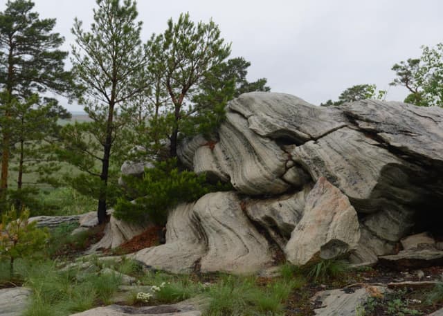 Карагай-Губерлинское ущелье. Фотография 2