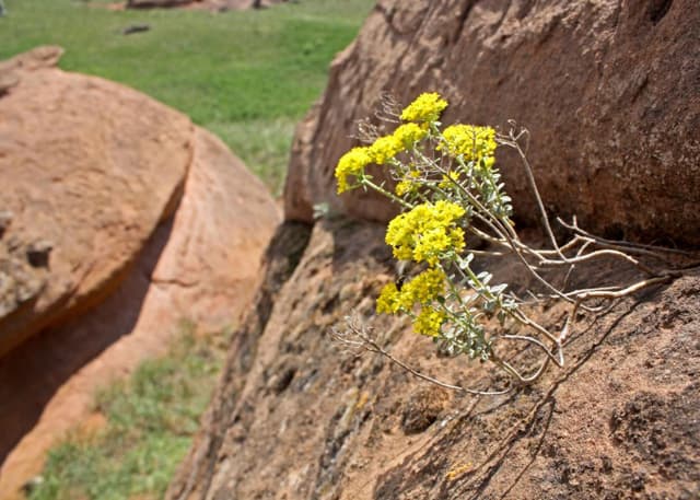 Самангульские красные камни. Фотография 2