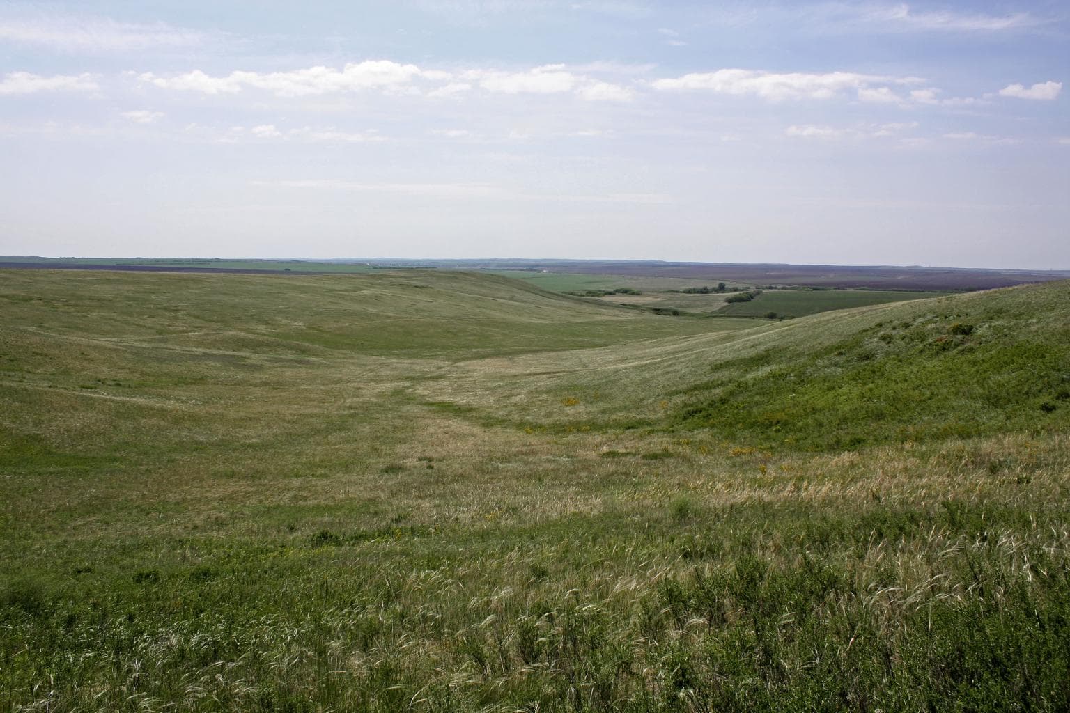 Самангульские красные камни — photo 4