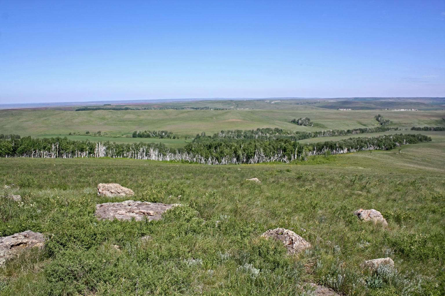 Самангульские красные камни — photo 5