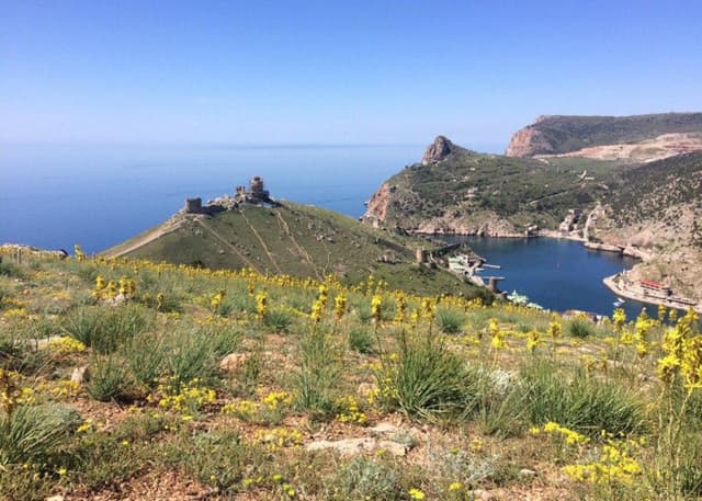 Чембало. Фотография 12