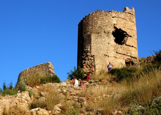 Чембало. Фотография 9