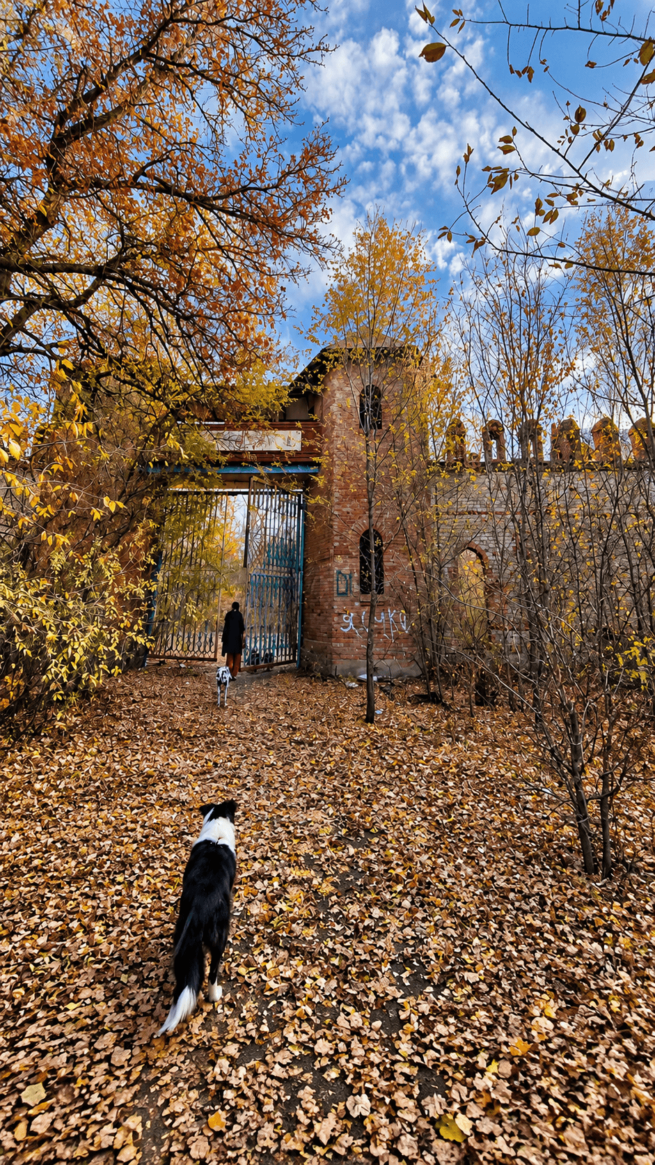 Лагерь Космос — фотография 1