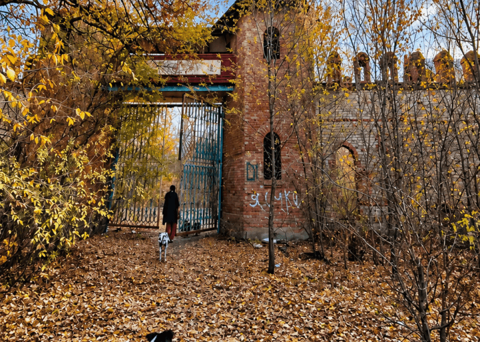 Лагерь Космос. Фотография 1