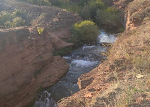 Исчезнувшая мельница. Фотография 6