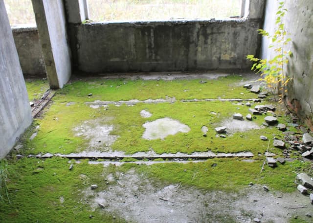 Заброшенная турбаза (Войново). Фотография 1