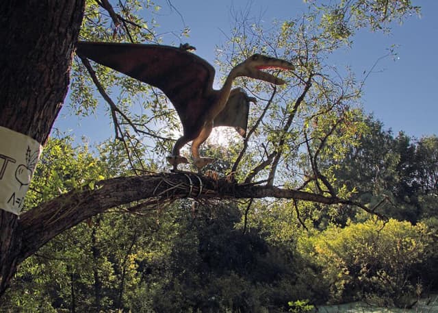 Динопарк "Динозавры на Вятке" в Котельниче. Фотография 1