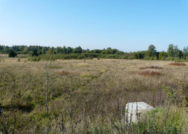 ДОТ (Назарова). Фотография 1