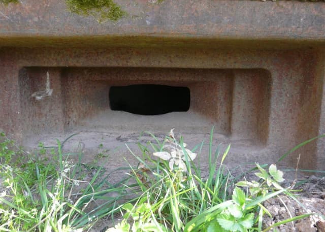 ДОТ (Назарова). Фотография 4