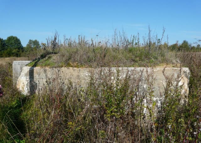 ДОТ (Назарова). Фотография 2