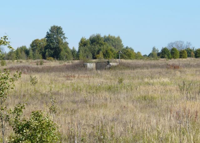 ДОТ (Назарова). Фотография 7