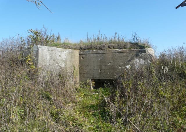 ДОТ (Назарова). Фотография 6