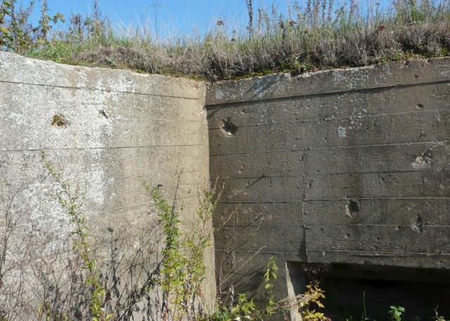 ДОТ (Назарова). Фотография 5