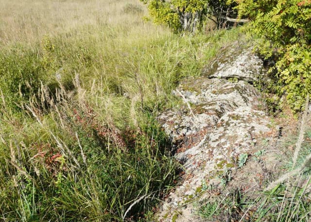 Разрушенный ДОТ. Фотография 2