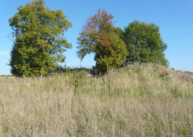 Разрушенный ДОТ. Фотография 1