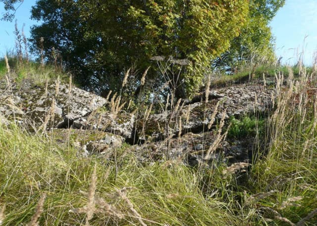 Разрушенный ДОТ. Фотография 3