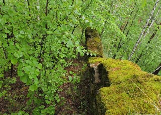 Татарская крепость. Фотография 2