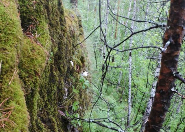 Татарская крепость. Фотография 3