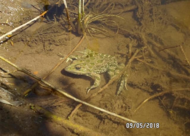 Речушка Донгуз.. Фотография 1