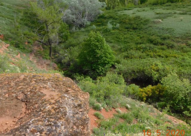 Лысый овраг. Фотография 1