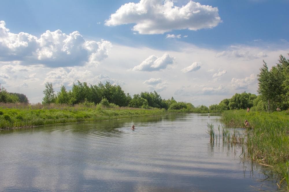 Понаринский пруд — фотография 1