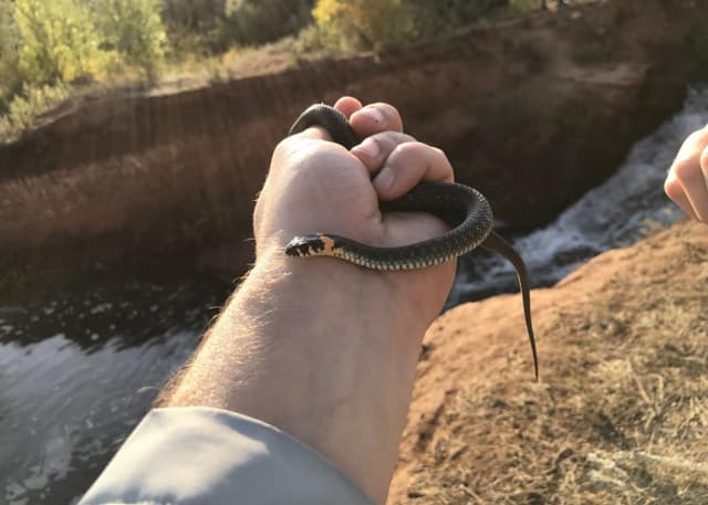 Водопад на Черной речке.. Фотография 4