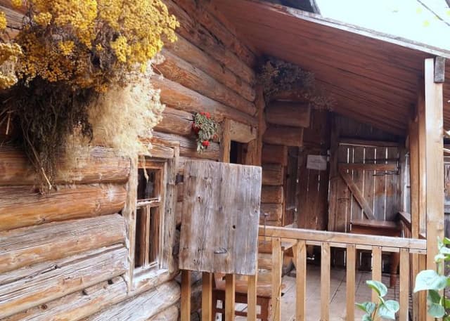 Музей И.Е.Репина. Фотография 8