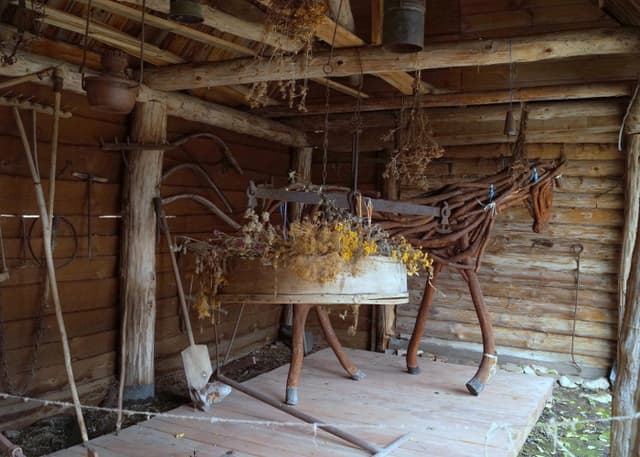 Музей И.Е.Репина. Фотография 2