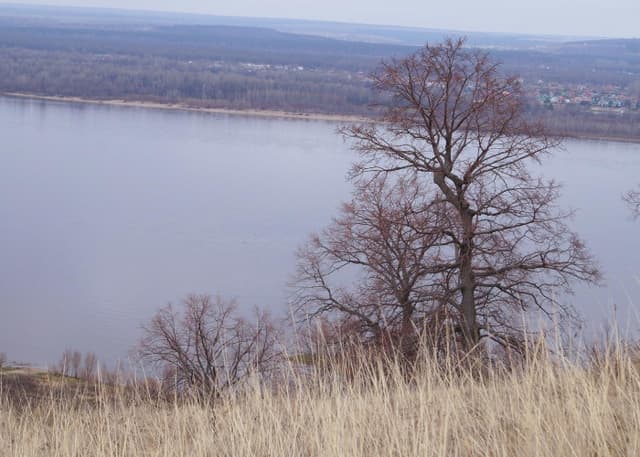 Монастырская гора. Фотография 1