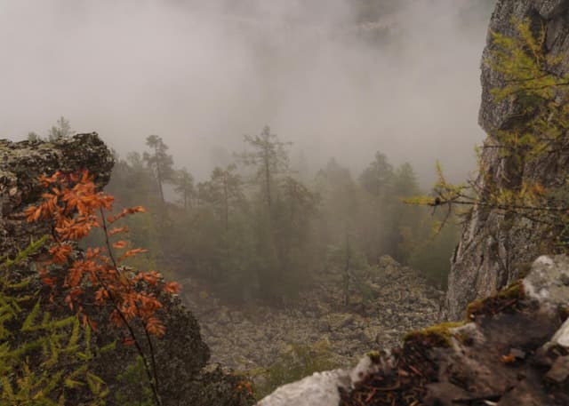 Зубы Шурале. Фотография 3