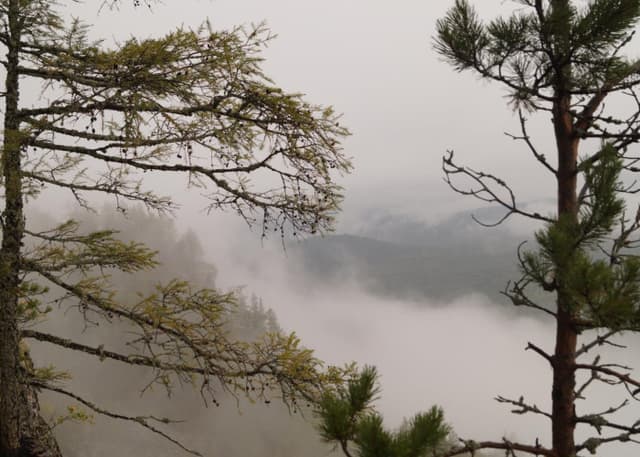 Зубы Шурале. Фотография 2