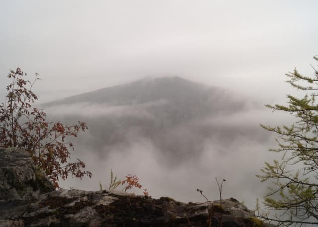 Зубы Шурале. Фотография 4