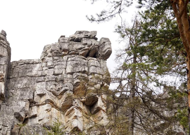 Гора Малиновая. Фотография 3