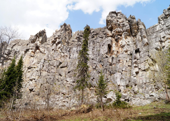 Гора Малиновая. Фотография 12