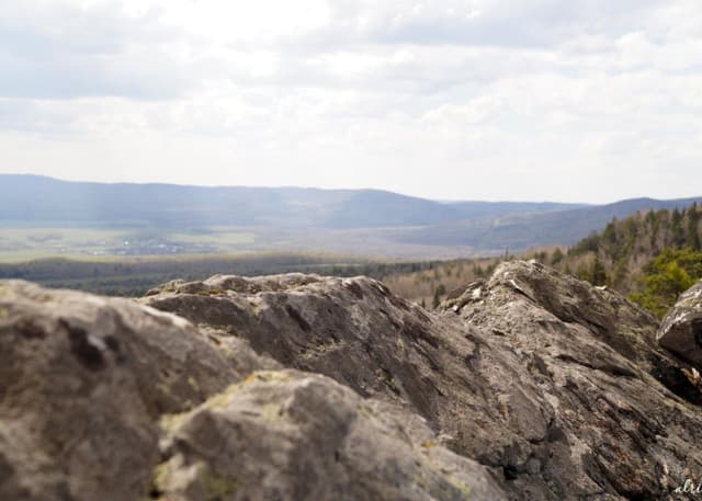 Гора Малиновая. Фотография 5