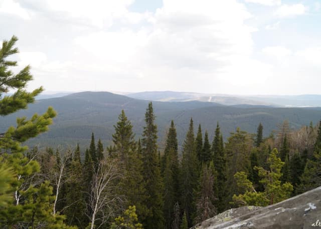 Гора Малиновая. Фотография 9