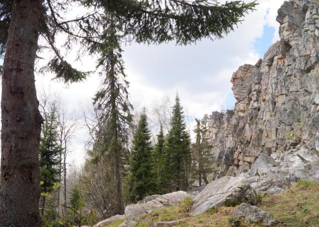 Гора Малиновая. Фотография 11